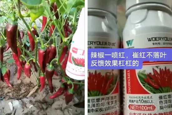 ���t�����95%���߼t�����~�����뷭�׷�����������һ���t��