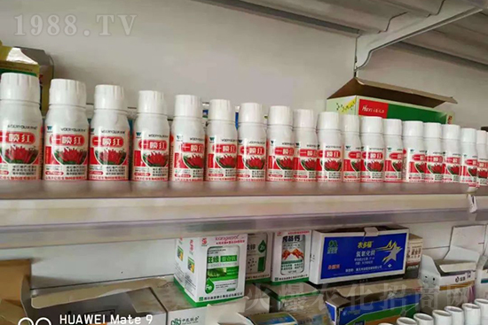 ���t�����95%���߼t�����~�����뷭�׷�����������һ���t��