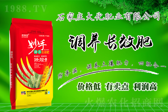 ��(zh��n)�Ժ���������(j��)��ʯ���f�󻯷ʘI(y��)�ٴκ��s1988.TV��