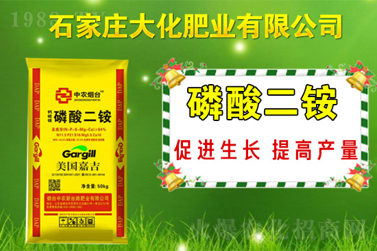 ��(zh��n)�Ժ���������(j��)��ʯ���f�󻯷ʘI(y��)�ٴκ��s1988.TV��