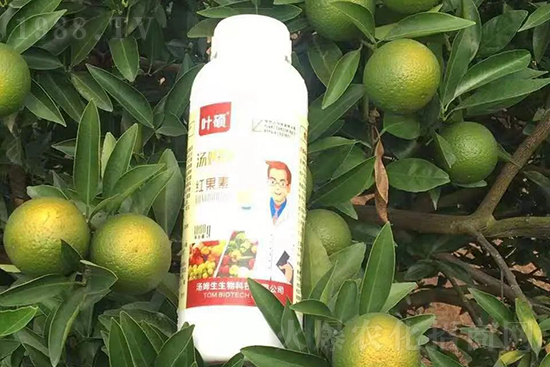 �t���ء�ֻ���D(zhu��n)ɫ�������D(zhu��n)ɫ�졢�ߣ��߼t���ó���