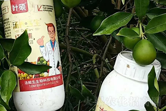 �t���ء�ֻ���D(zhu��n)ɫ�������D(zhu��n)ɫ�졢�ߣ��߼t���ó���