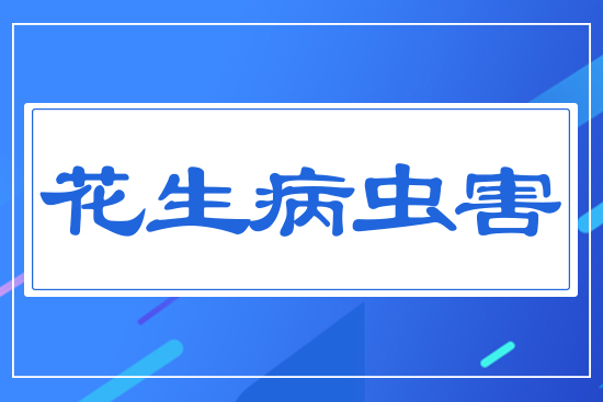 �������x��