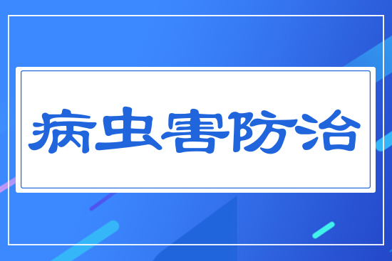 ���x(ch��ng)������