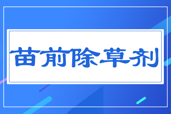 ��ǰ���݄�