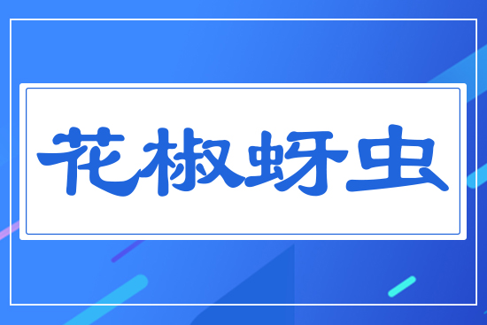 �������x