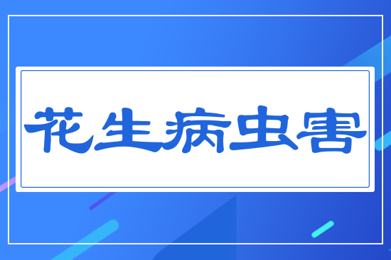 �������x(ch��ng)��