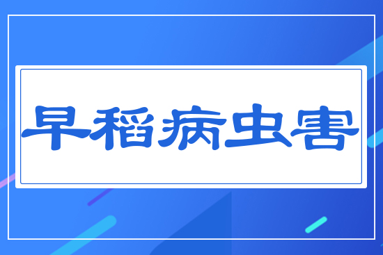 �絾���x(ch��ng)��