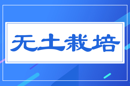 �o(w��)������