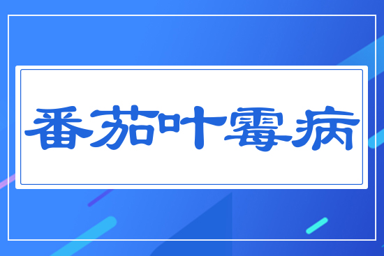 �����~ù��