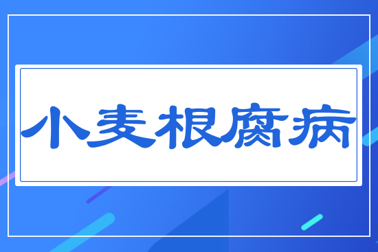 С��������