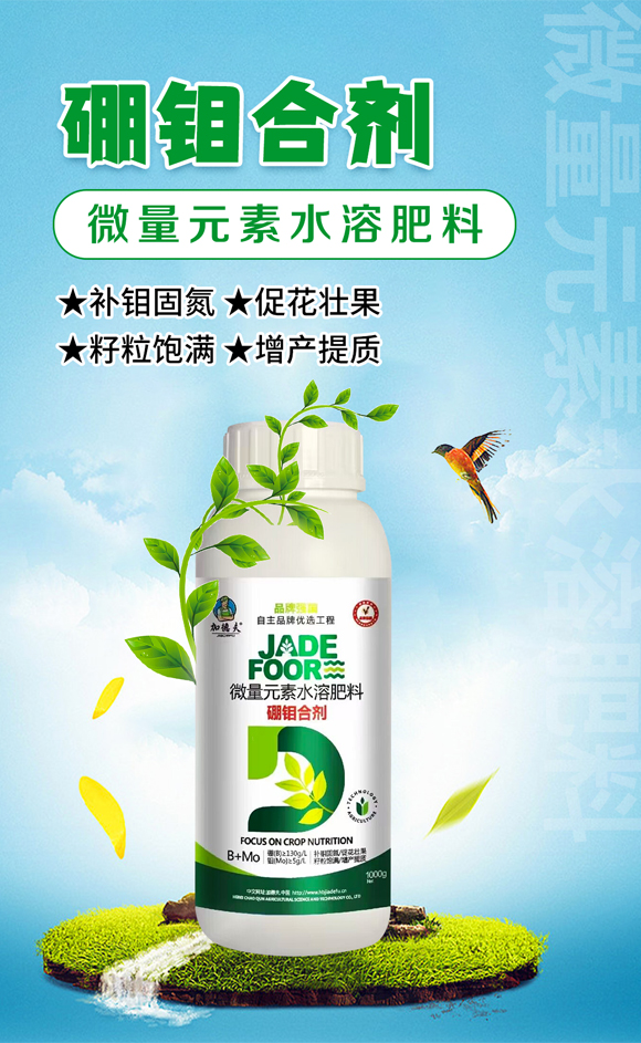 �ӱ���Ⱥ�r(n��ng)�I(y��)�Ƽ����޹�˾_01