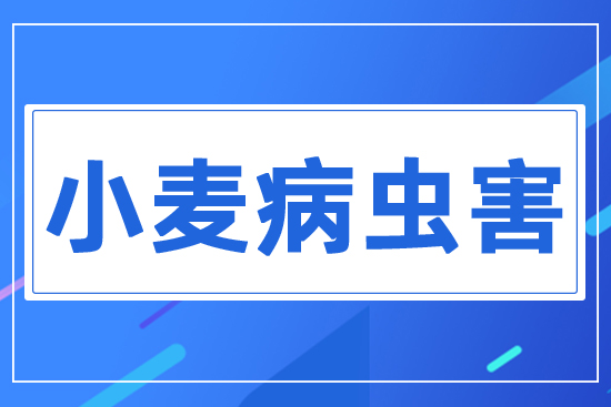 С�����x(ch��ng)��