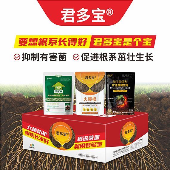 QQ�DƬ20260430094748