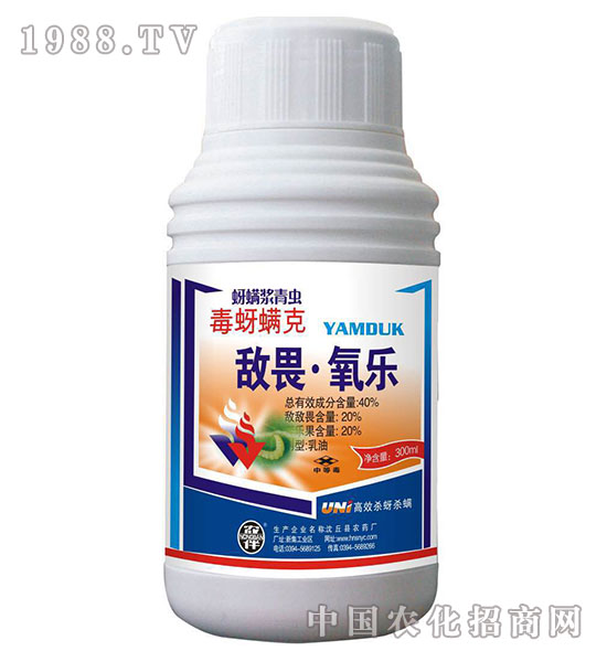 40%��η����-��������-�����rˎ