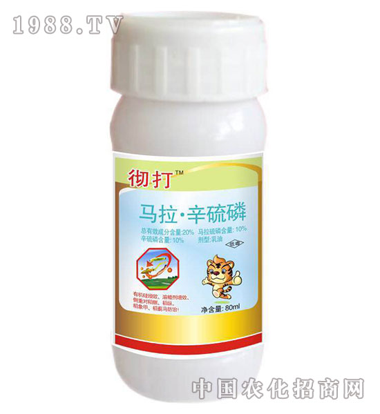 20%�R��������-�ش�-�����rˎ