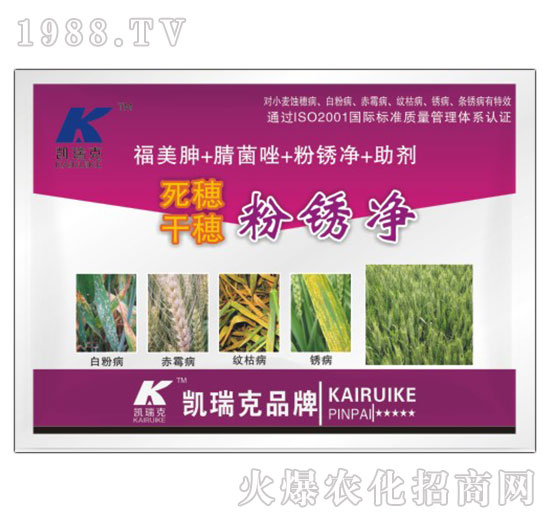 ���������P��-�P���