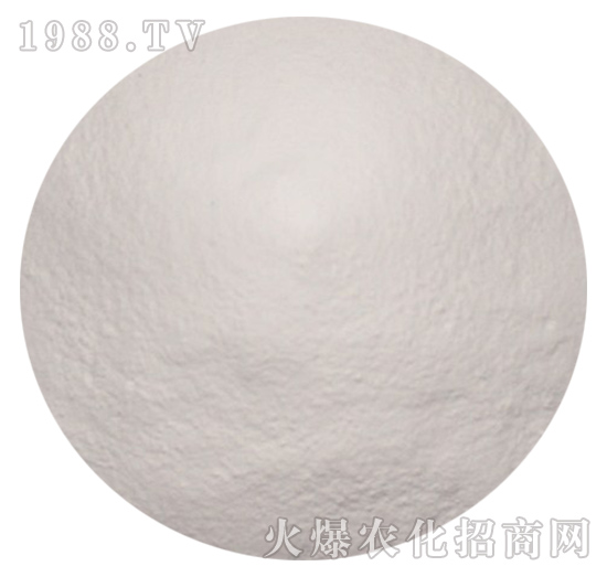 �Ҷ����������\�c-���_(d��)