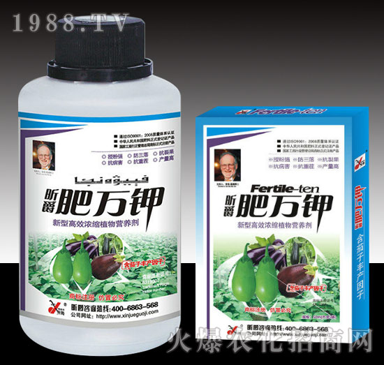 肥萬稼（茄子）-昕爵