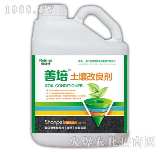 ����������-����-�J�~��