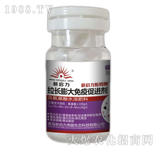 ���L������ߴ��M��-����