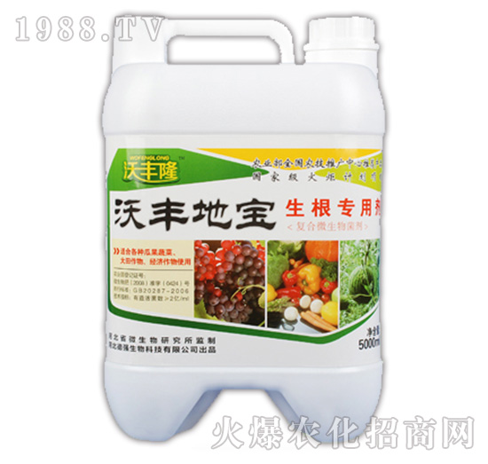 ���S�،���������(zhu��n)�Ä���-���S¡-��(qi��ng)