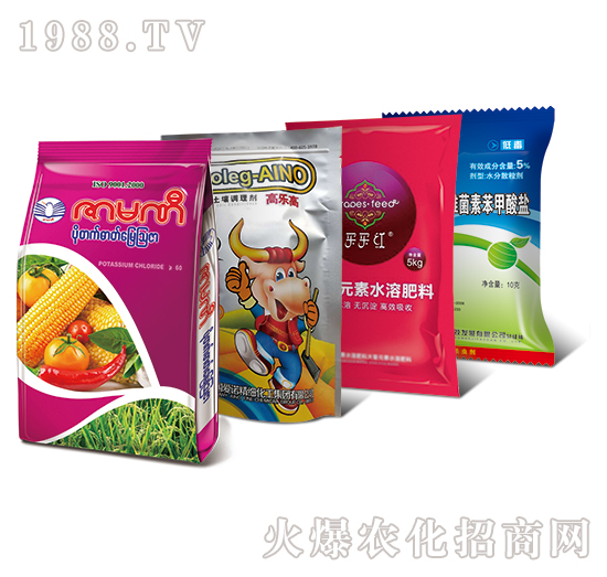 �ͺϴ�-�E��