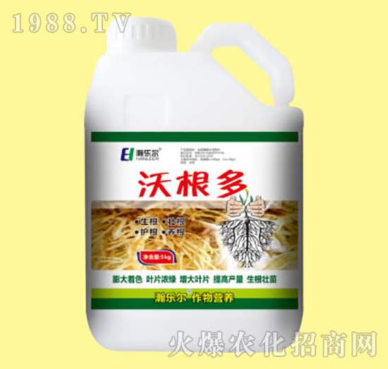 �ָ���-嫘���