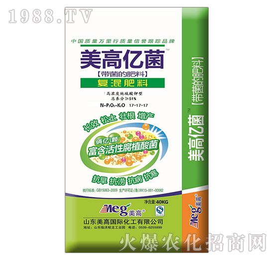 ���߃|����(f��)�����17-17-17-����