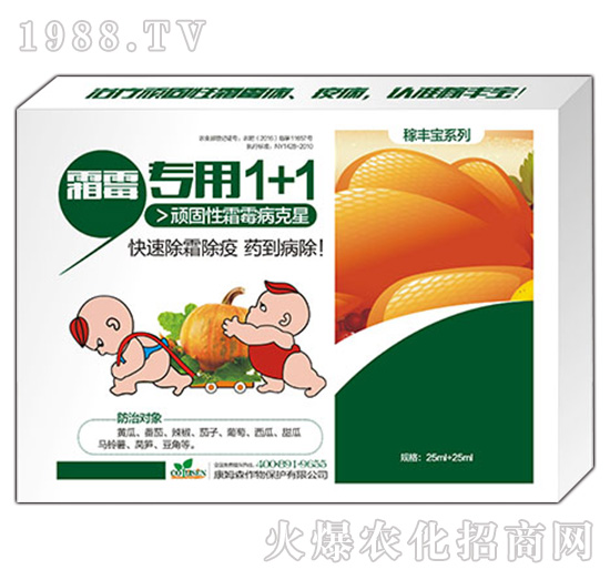 ˪ù��(zhu��n)��1+1-���S��-��ķɭ