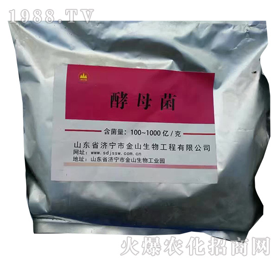 ��ĸ��-��ɽ����