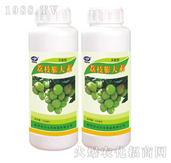 ��֦�����-�r(n��ng)�_����