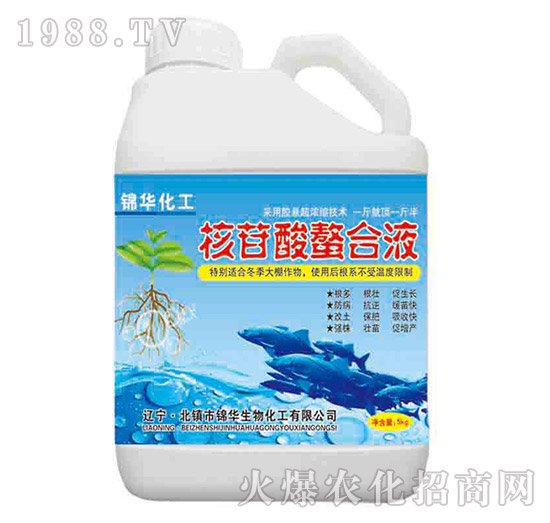 ����������Һ-һ����