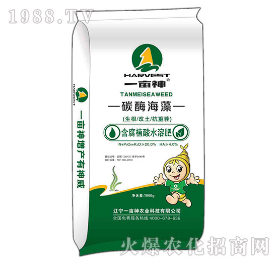 ����ֲ��ˮ�ܷ�-̼ø����-һ����