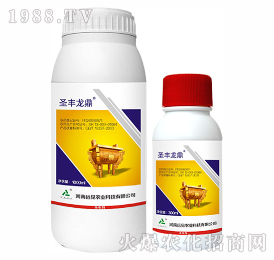 5%���S����-ʥ�S����-�hҊ�r�I(y��)