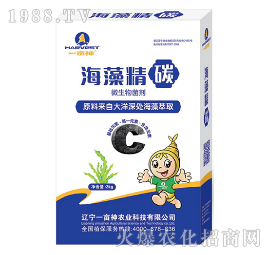 ΢�������-���徫̼-һ����