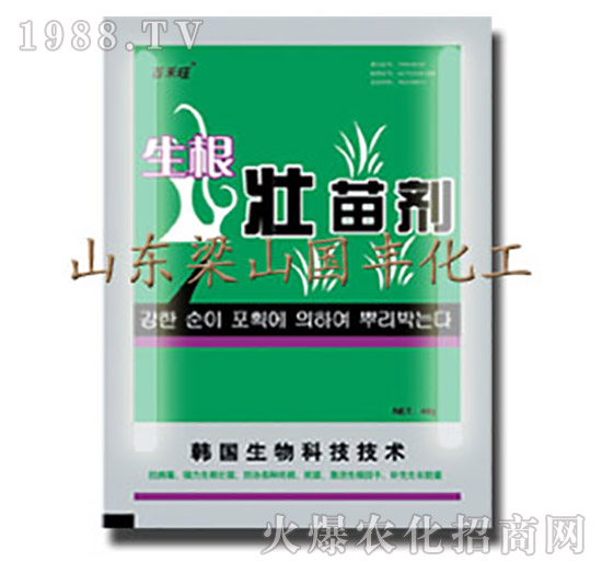 �������焩-��ɽ���S