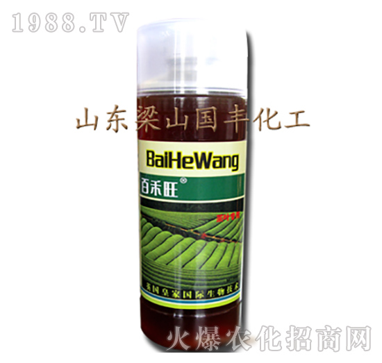 ���~�����~���-��ɽ��(gu��)�S