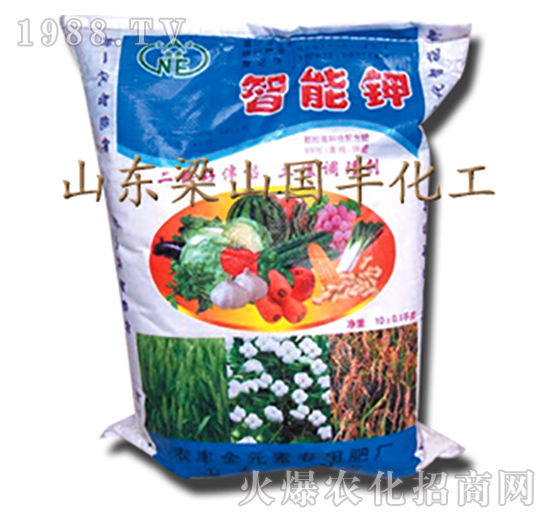 ����⛣�����-��ɽ���S