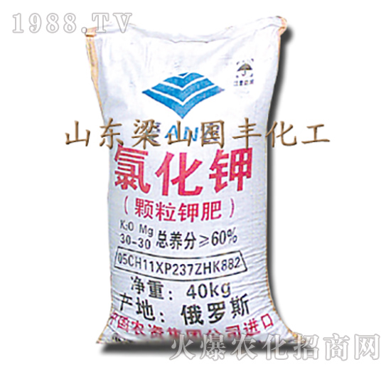 �Ȼ��-��ɽ���S