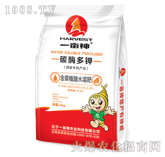 ����ֲ��ˮ�ܷ�-̼ø���-һ����