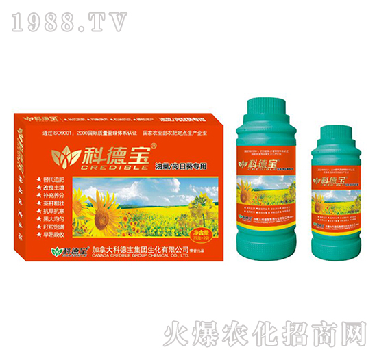 �Ͳ������տ����àI�B(y��ng)���a(ch��n)�{(di��o)�턩-�Ƶ�