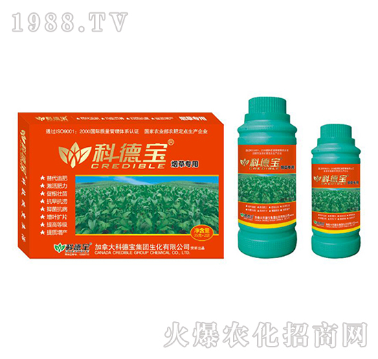 ���݌��àI�B(y��ng)���a�{�턩-�Ƶ�