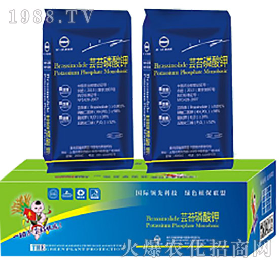 �|̦�����-�滯���h