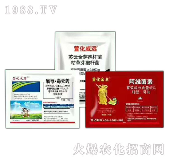 ����ҹ����x�Ě��焩-���һ��-�滯���h