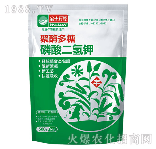 500g��������-��ø����-���S�f¡