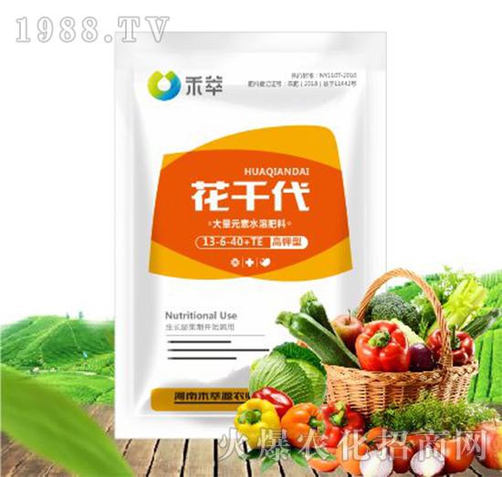 �������ʹ���Ԫ��ˮ�ܷ���-13-6-40+TE-��ǧ��-����