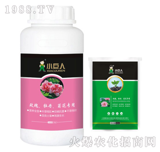 õ�塢ĵ�����ջ������{(di��o)��(ji��)��-С����