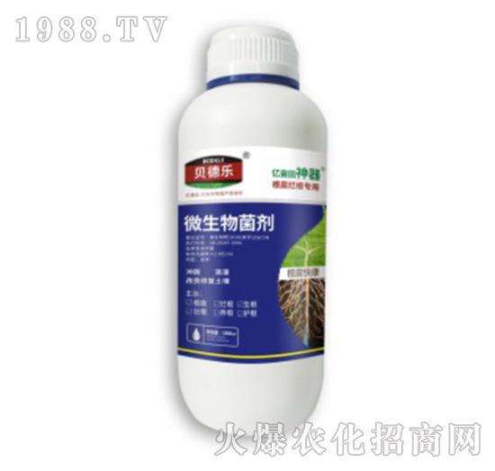 ������������΢�������-�����쿵-ؐ��