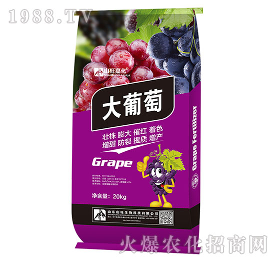 ������-ɽ������